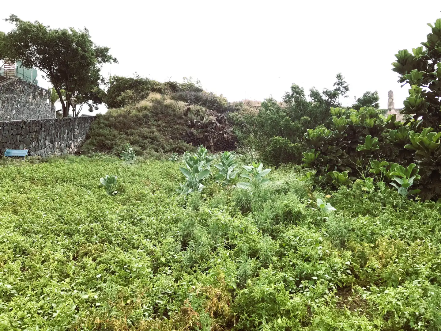 Residencial en venta en Güímar