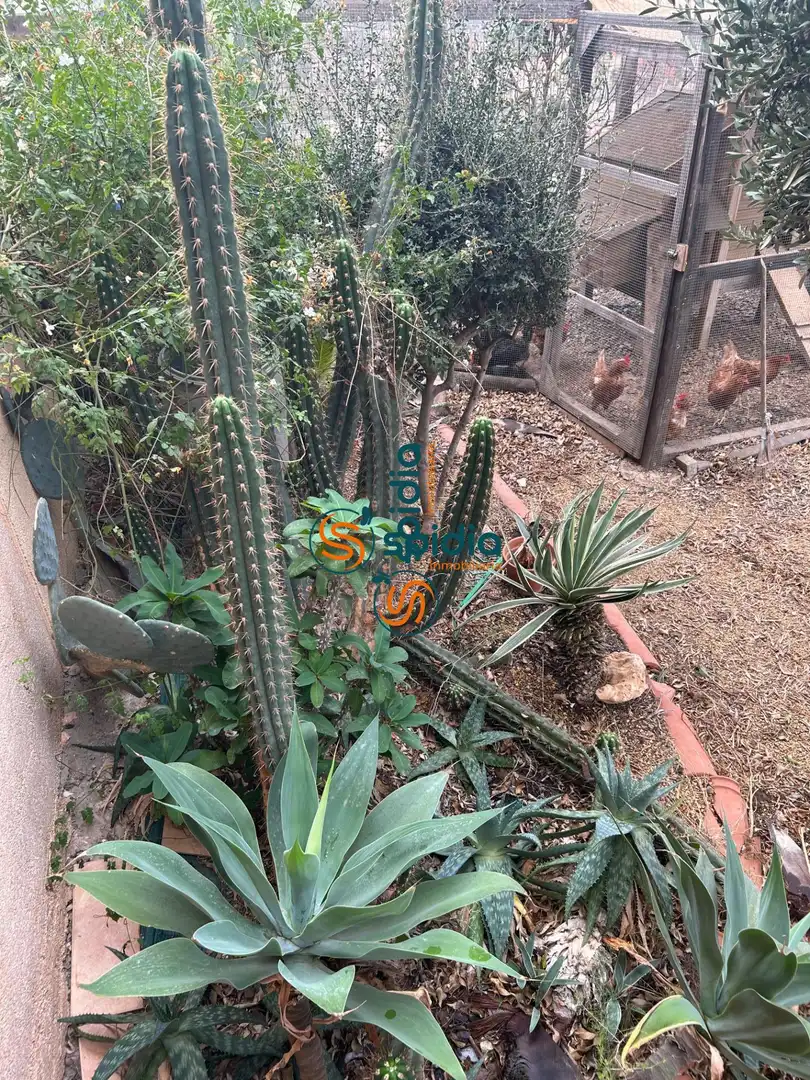 Jardín de Casa o chalet en venta en Águilas con Calefacción, Jardín privado y Terraza