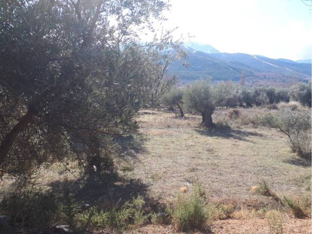 Terreno en Venta en LAS HERAS en Bayárcal