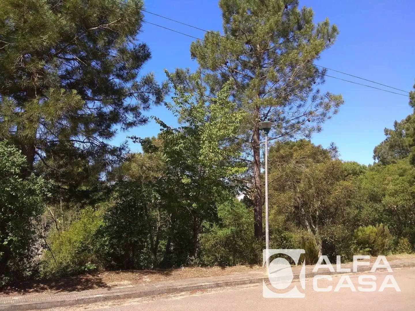 Terreno rústico en venta en LES SURERES, imagen 14