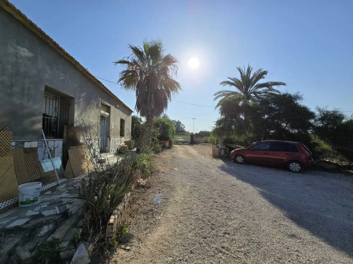 Vista exterior de Finca rústica en venta en Elche / Elx con Terraza