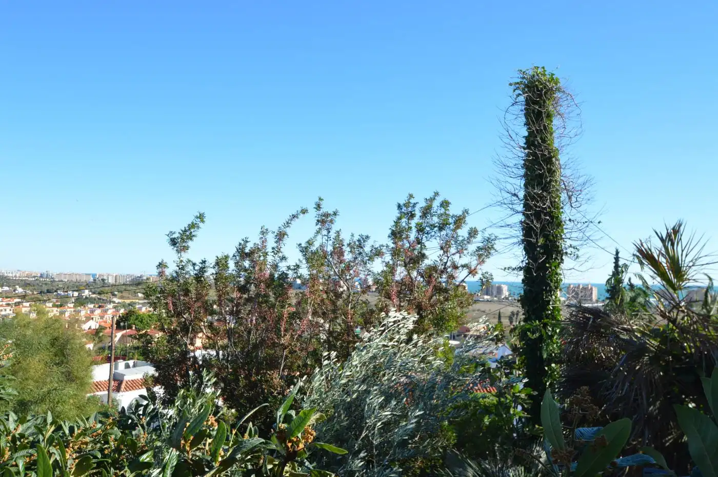 Detached house with garden for sale in Carretera de ľ Estación, imagen 12