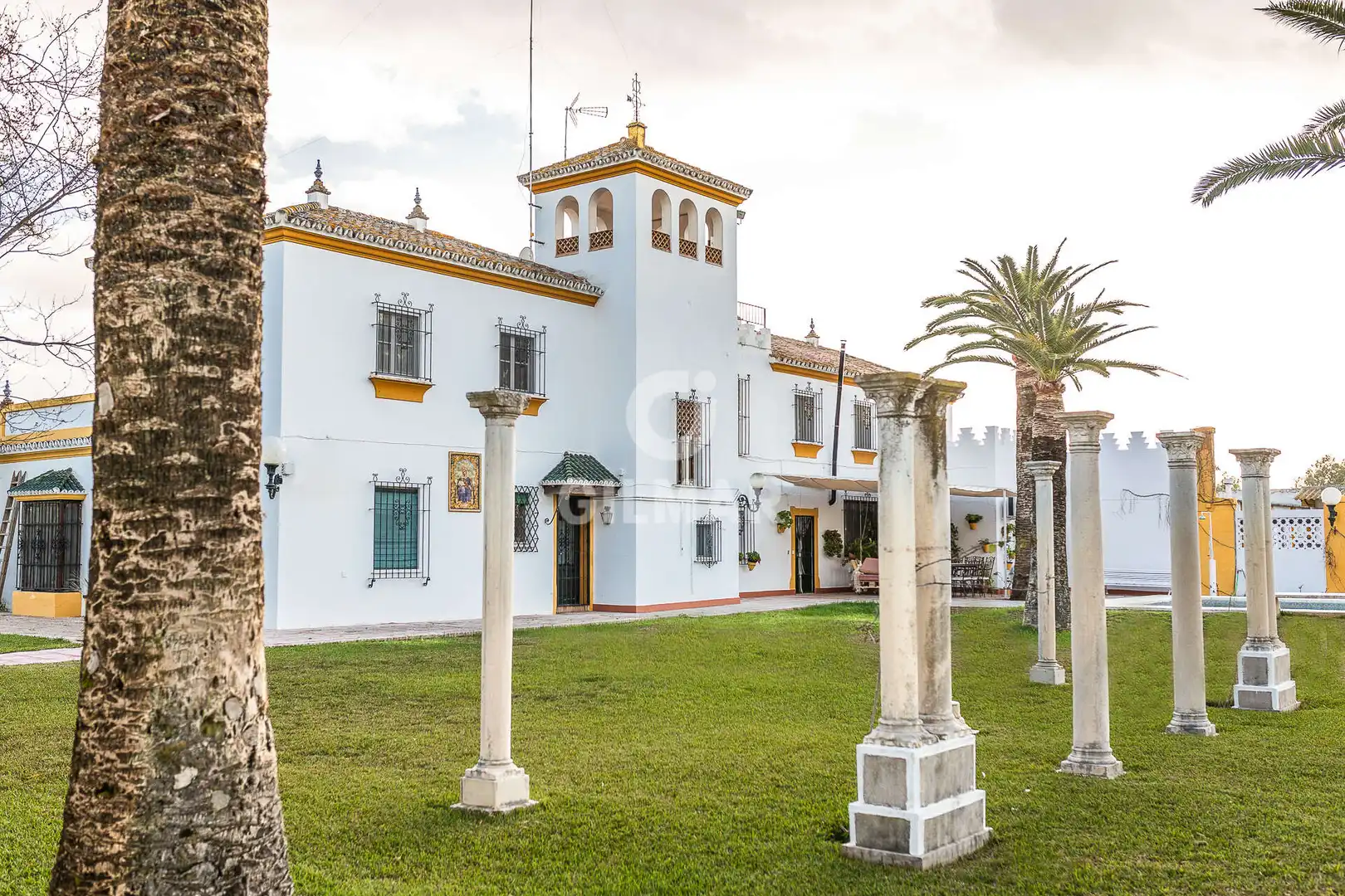Vista exterior de Casa o chalet en venta en Marchena con Calefacción, Jardín privado y Piscina