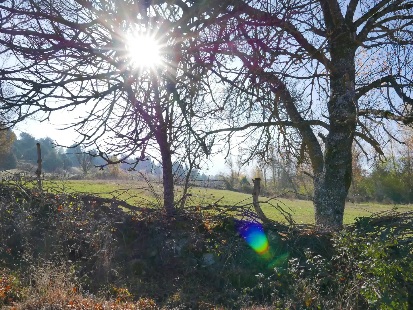 Land for sale in Santo Tomé del Puerto