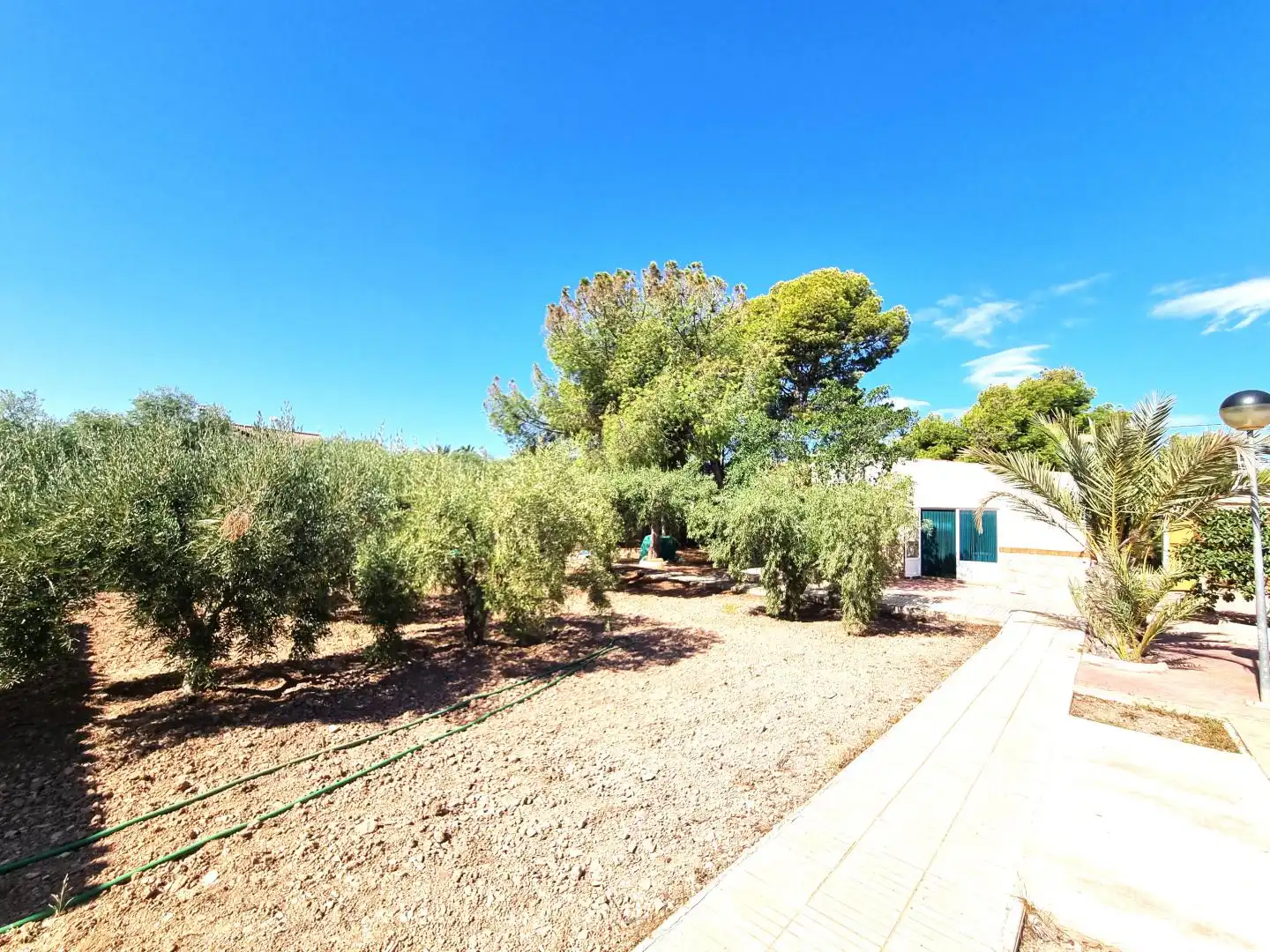 Houses for sale in Partida Boqueres, Villamontes - Boqueres