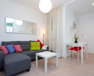 Living room of Apartment to rent in L'Hospitalet de Llobregat  with Washing machine, Microwave and Internet