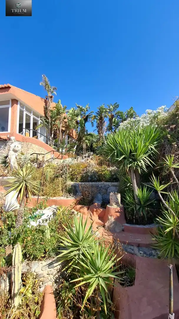 Jardí de Casa o xalet en venda en Almuñécar