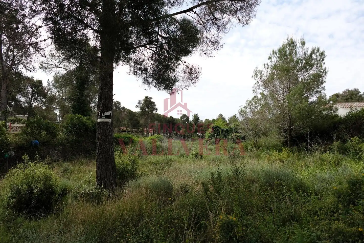 Terreny residencial en venda a Cabra del Camp, imagen 3