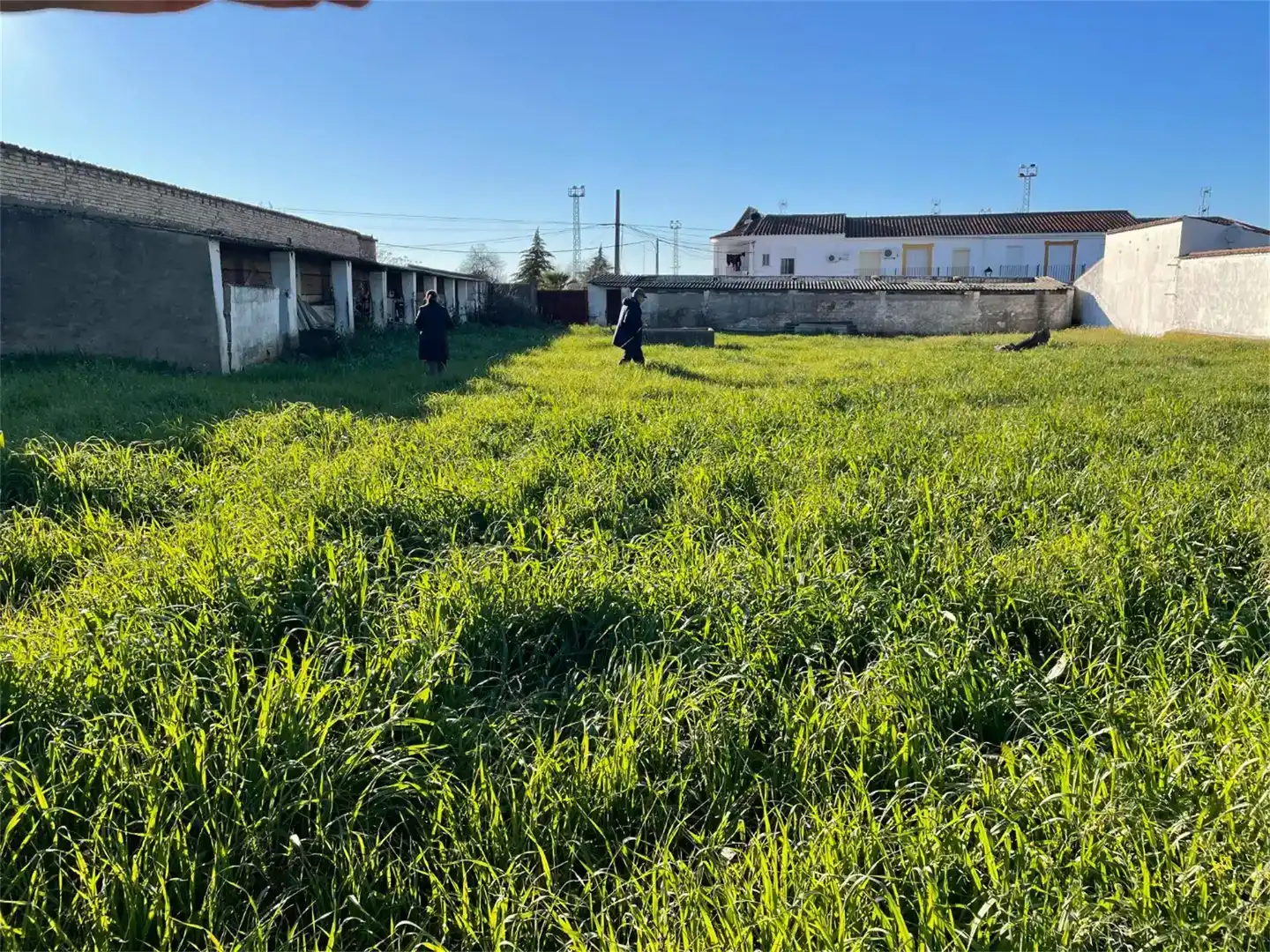Land for sale in Campofrío