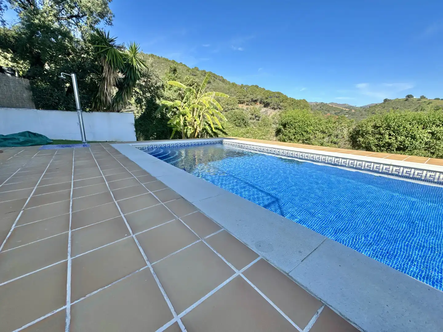 Piscina de Casa o xalet en venda en Estepona amb Aire condicionat, Terrassa i Moblat