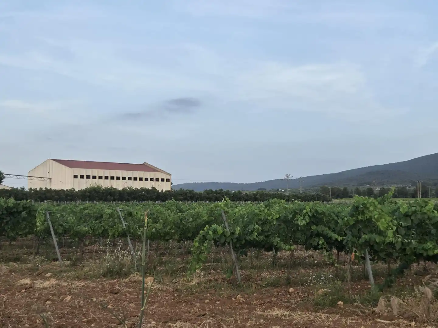 Detached homes for sale in Fontanars dels Alforins