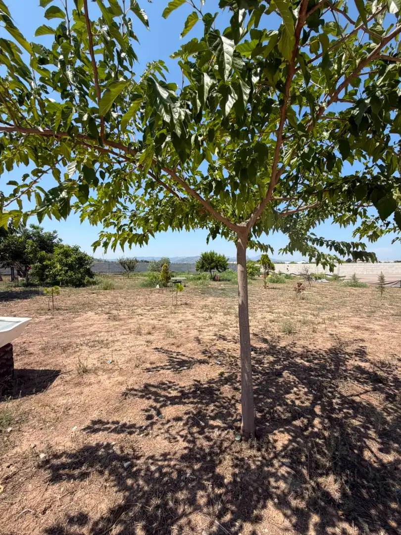 Finca rústica en venda en Oliva amb Terrassa i Traster