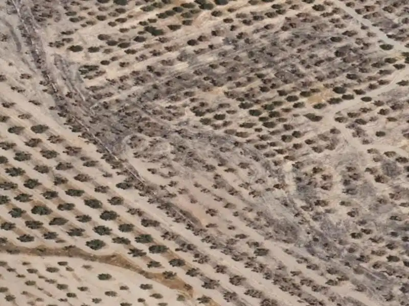 Terrenys i solars en venda a Cañada Lugar Cercado Llamado de los Dolores, Pa