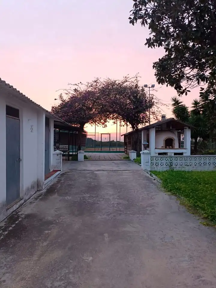 Vista exterior de Casa o chalet en venta en Benicull de Xúquer con Jardín privado, Terraza y Piscina