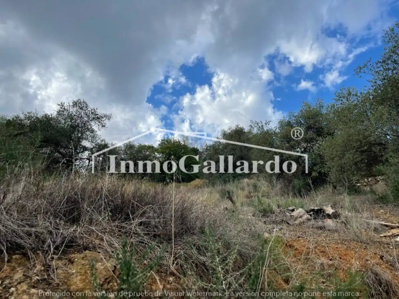 Houses for sale in Comares  with Private garden
