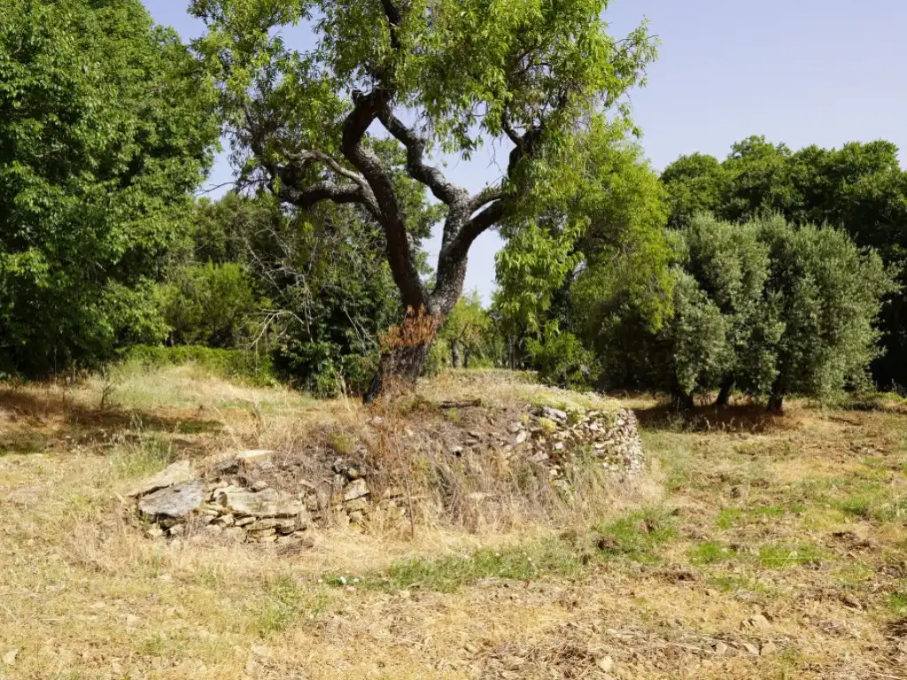 Casa o xalet en venda en Bárcabo