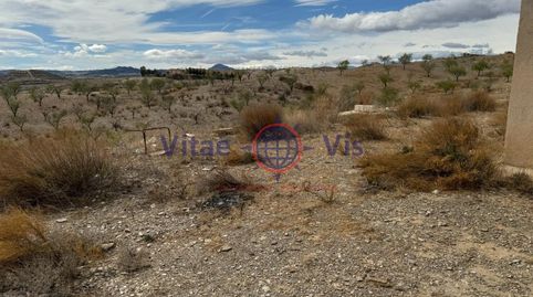 FINCA DE SECANO EN ZARZALICO DE 35.000 M2 CON CASETA DE 40 M2 PARA APEROS CON CHIMENEA