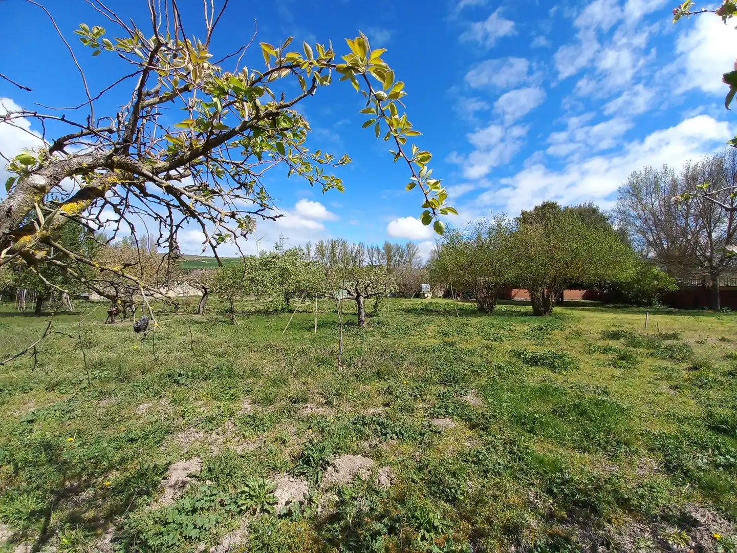 Finca rústica en venta en Cayuela con Jardín privado