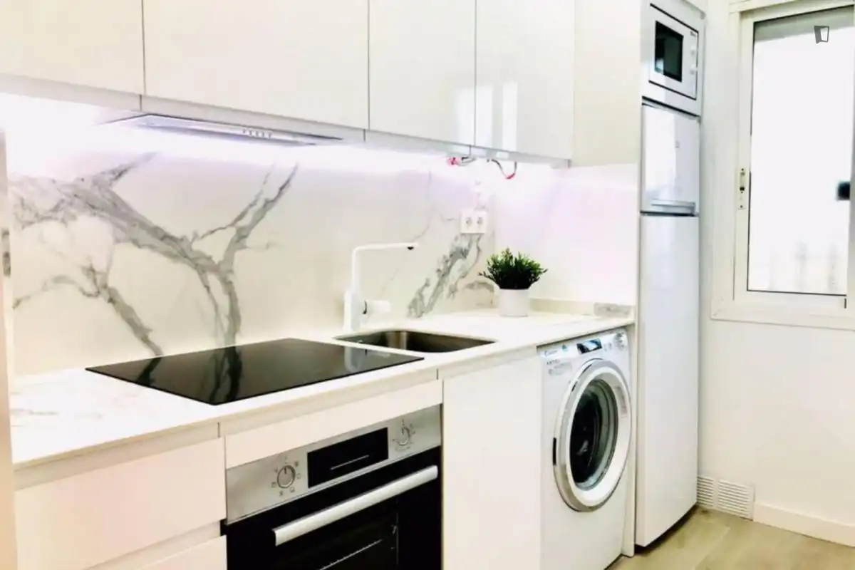 Cuina de Apartament de lloguer en Málaga amb Aire condicionat, Moblat i Forn