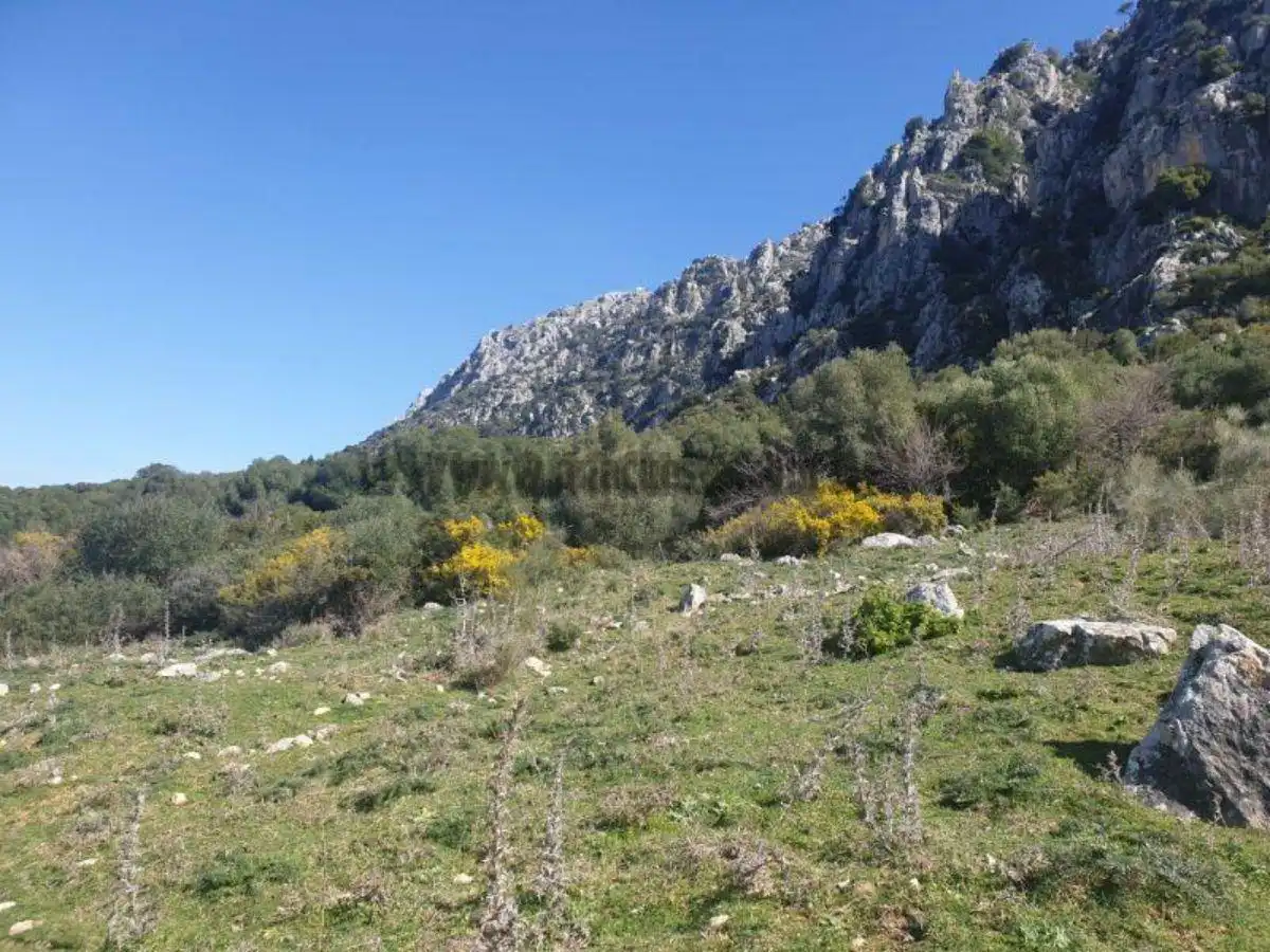 Residencial en venda a Casares, Málaga