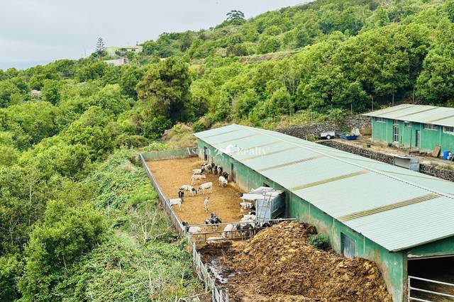 Local comercial en Venta en El Drago en Garachico