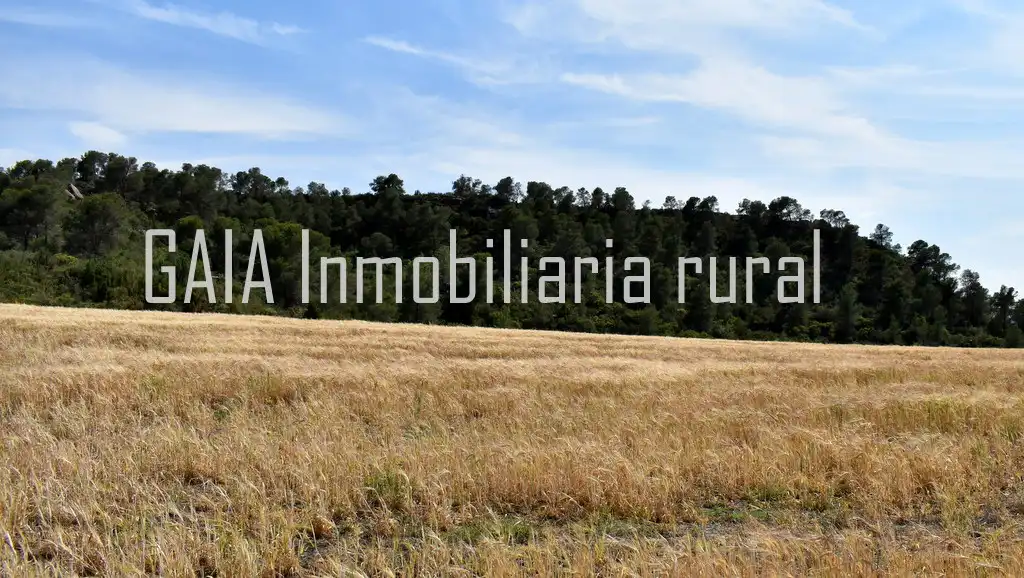 Casa rústica en venda a Maella, imagen 9