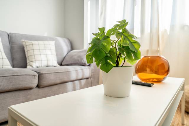 Piso en Alquiler en Calle de Hércules, 23 en Sur - PAU 4