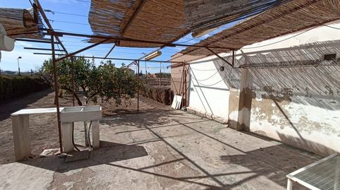 Foto 3 de Finca rústica en venta en Saboya, Alboraya