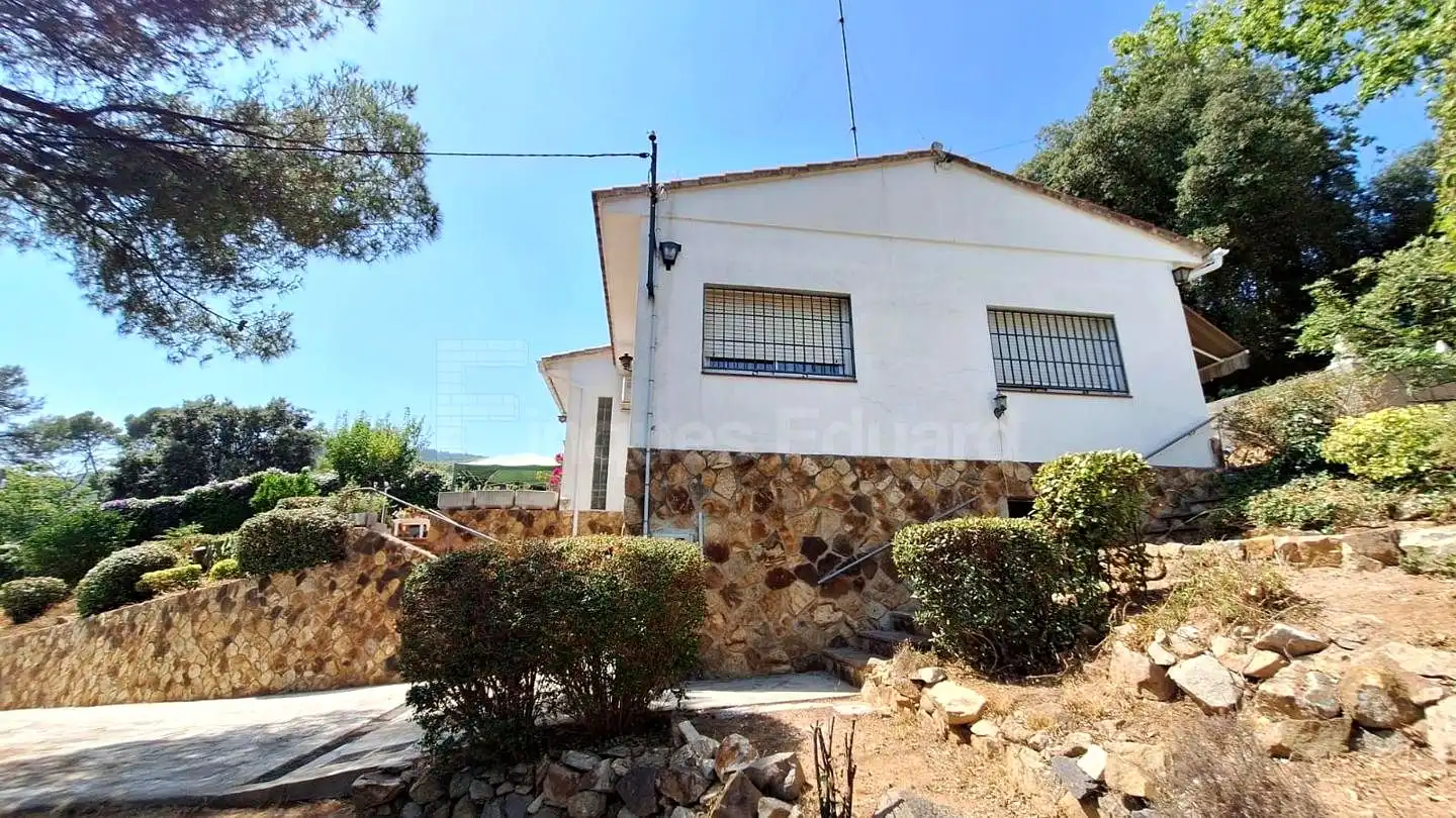 Vista exterior de Casa o chalet en venta en Argentona con Jardín privado y Terraza