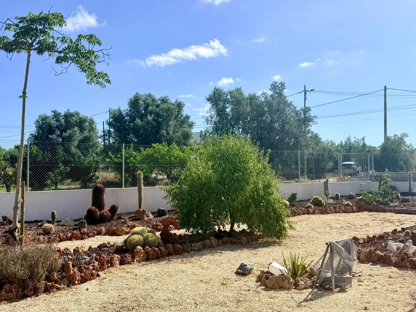 Jardí de Casa o xalet en venda en Albox amb Aire condicionat, Calefacció i Jardí privat