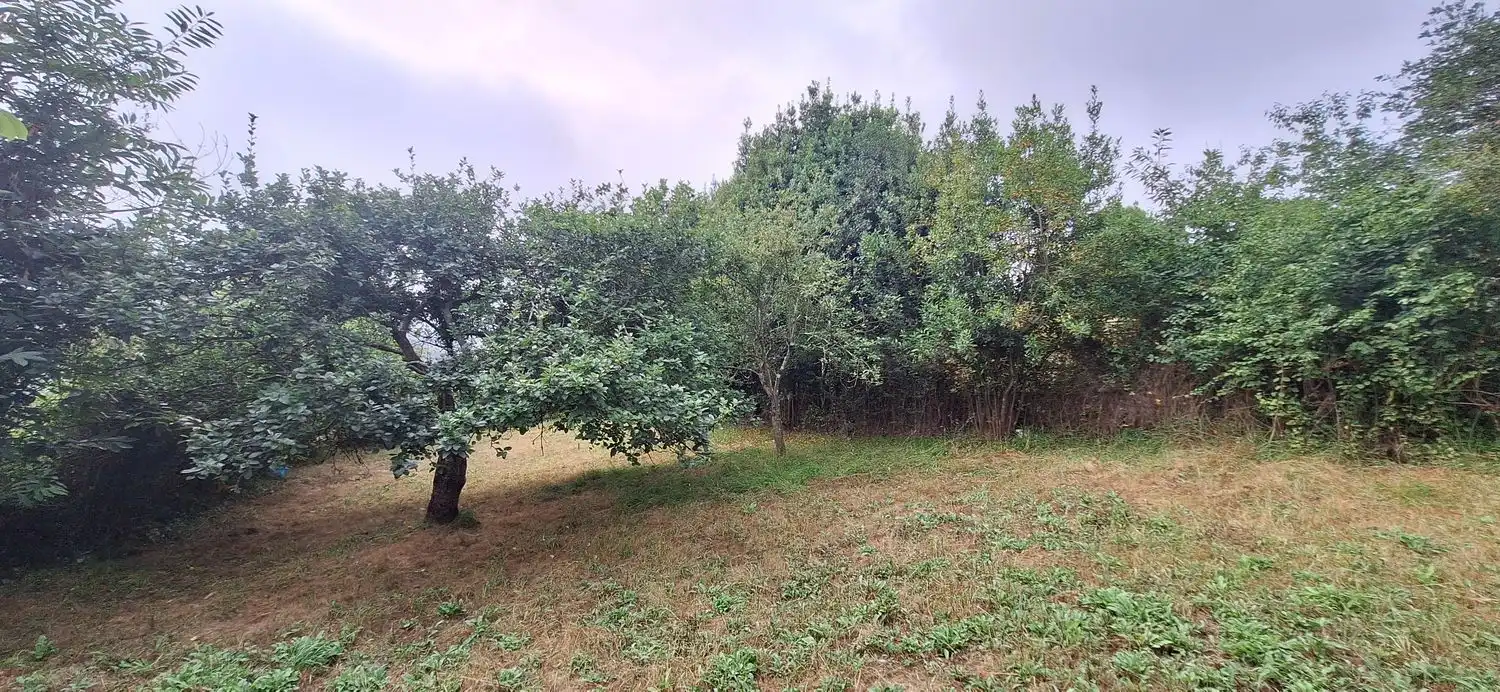 Residencial en venta en Gijón 