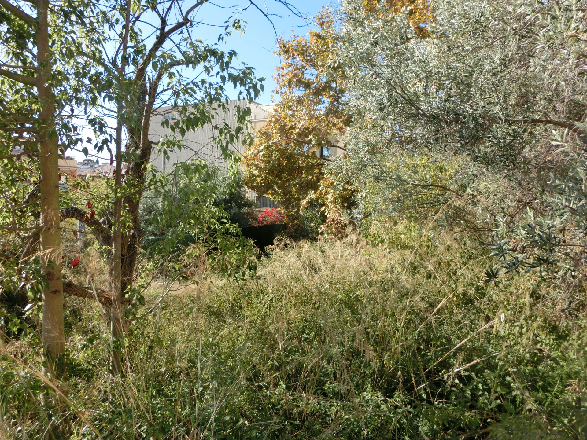 Residential for sale in Canet de Mar