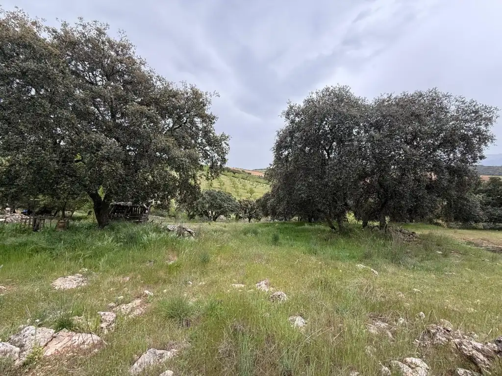 Casa o chalet en venta en Alhama de Granada