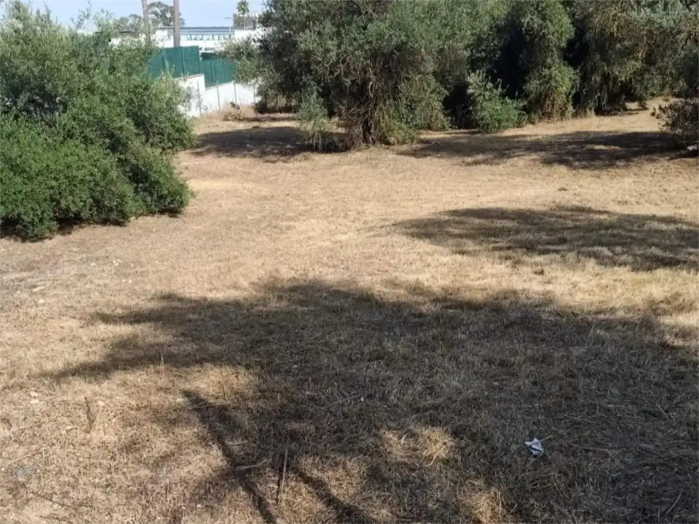Finca rústica en venda en Gelves