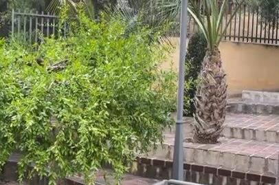 Foto 5 de Casa o xalet en venda a El Palmar, Murcia