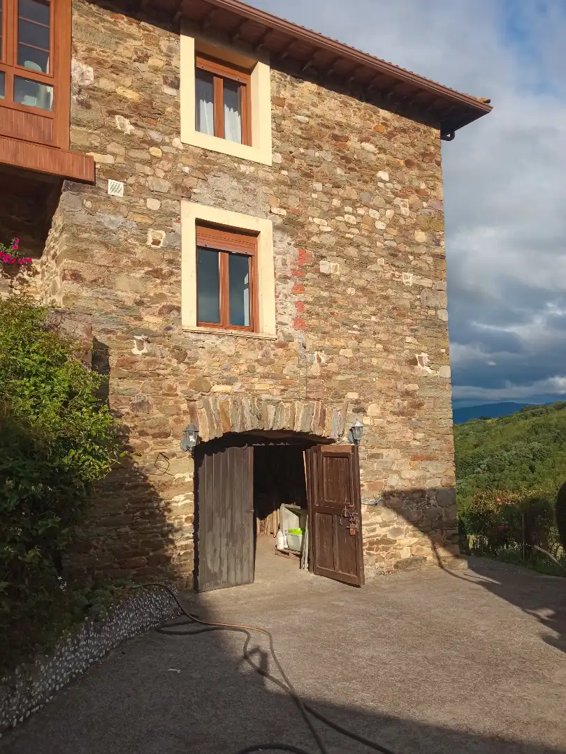 Vista exterior de Finca rústica en venta en Tineo con Jardín privado, Parquet y Terraza