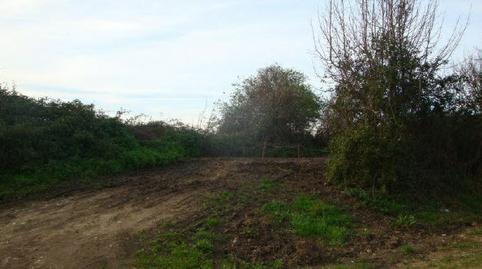 Foto 5 de Residencial en venda a Del Cotaron. Polígono 103 Parcela, Bernueces, Asturias