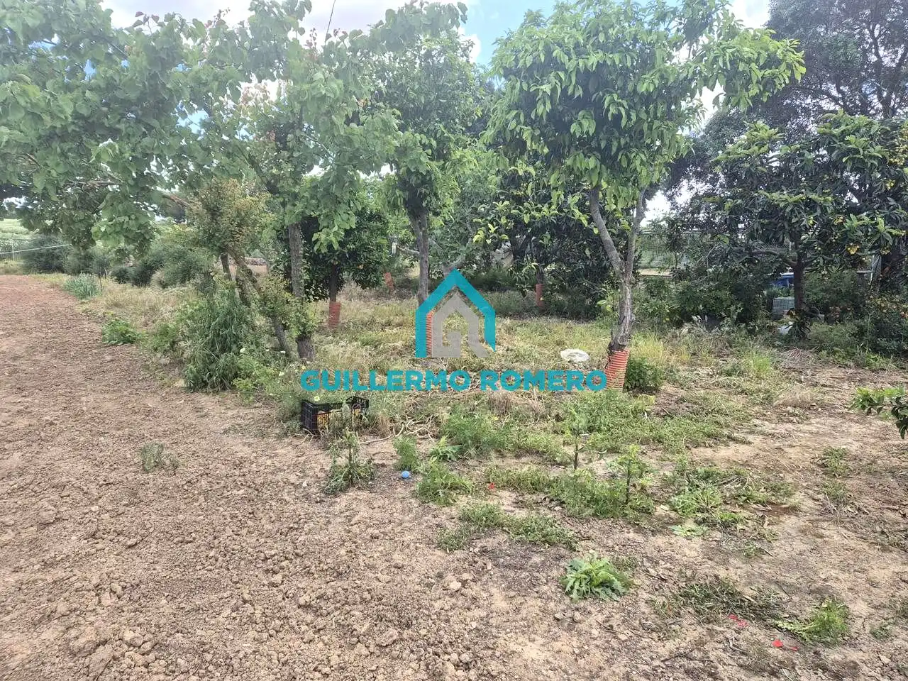 Finca rústica en venta en Coria del Río