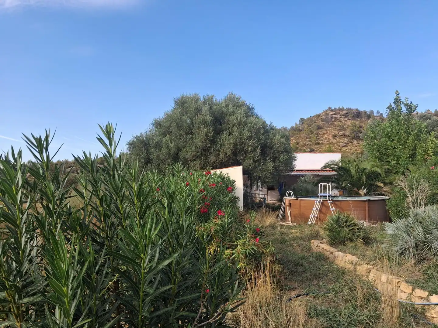 Chalet en venta en Polígono 5 Paraje 127 334, imagen 30