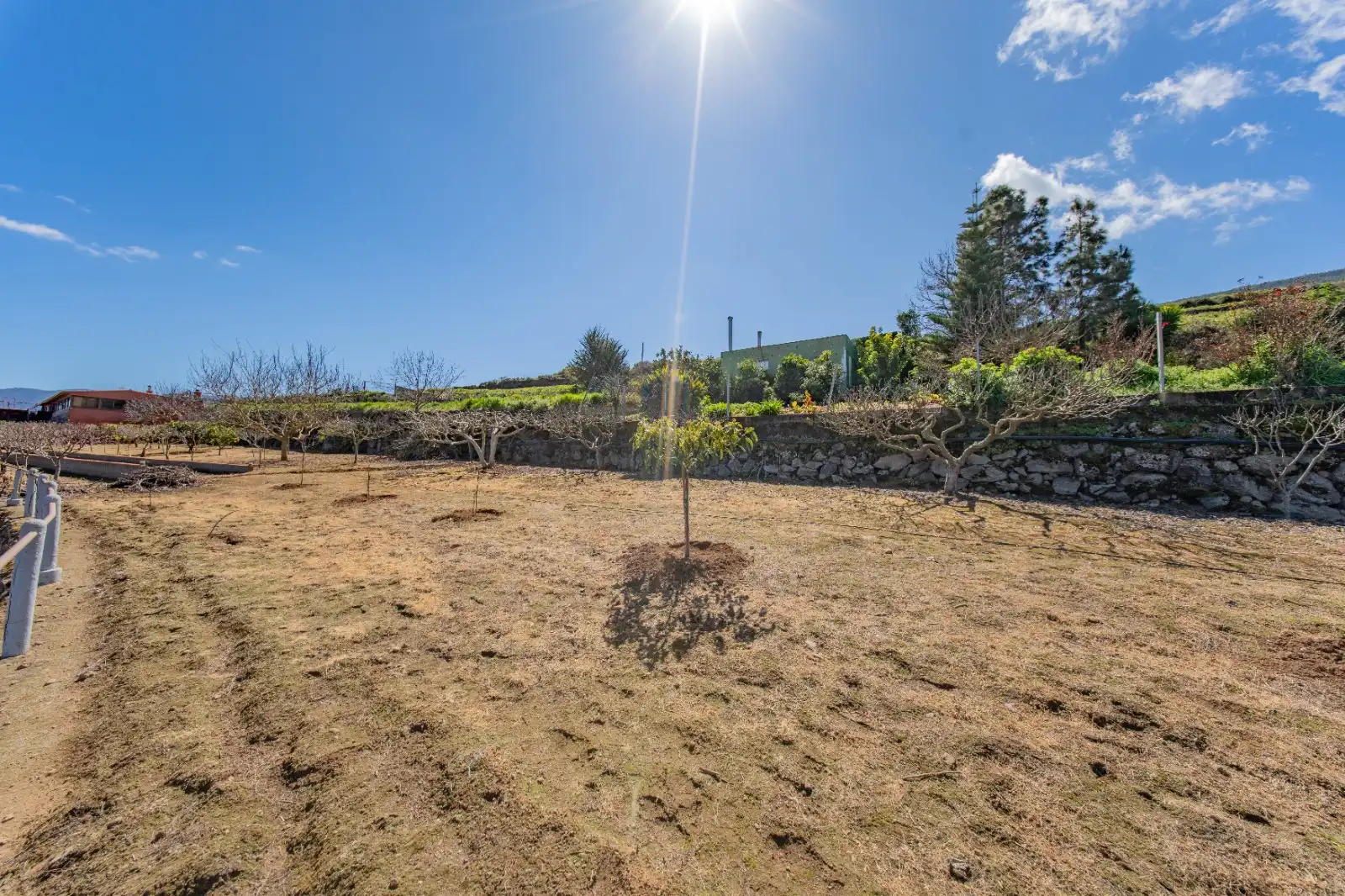 Casa o xalet en venda en La Guancha amb Jardí privat, Terrassa i Traster