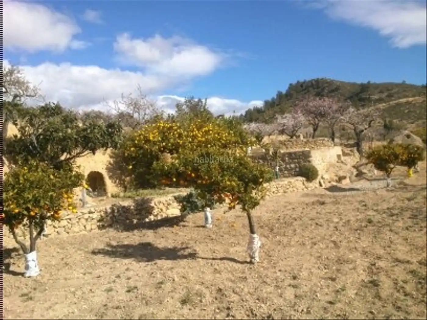 Terreny residencial en venda a Carrer Alcoi 14, imagen 8