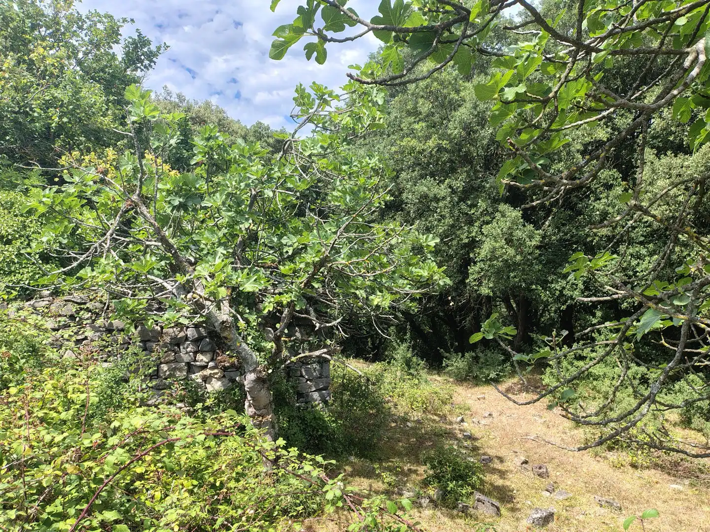 Finca rústica en venda en Urduña / Orduña