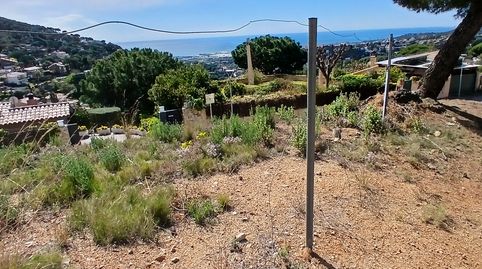 CABRILS LOTE DE PARCELAS URBANAS EN VENTA, imatge 4