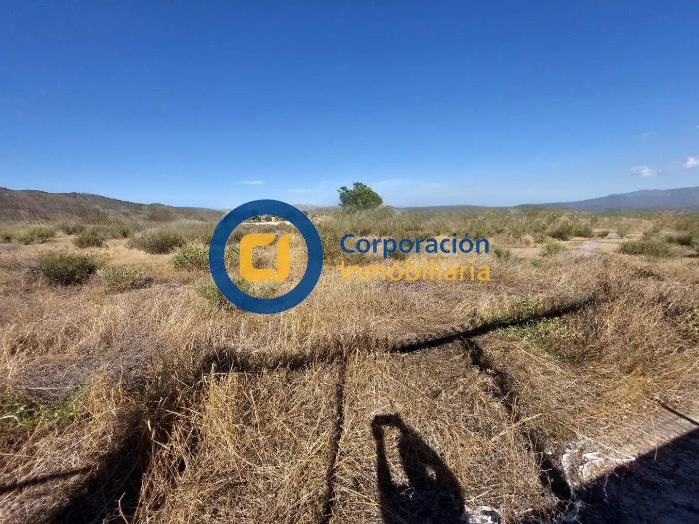 Lands and plots for sale in Pedanías Centro, imagen 3
