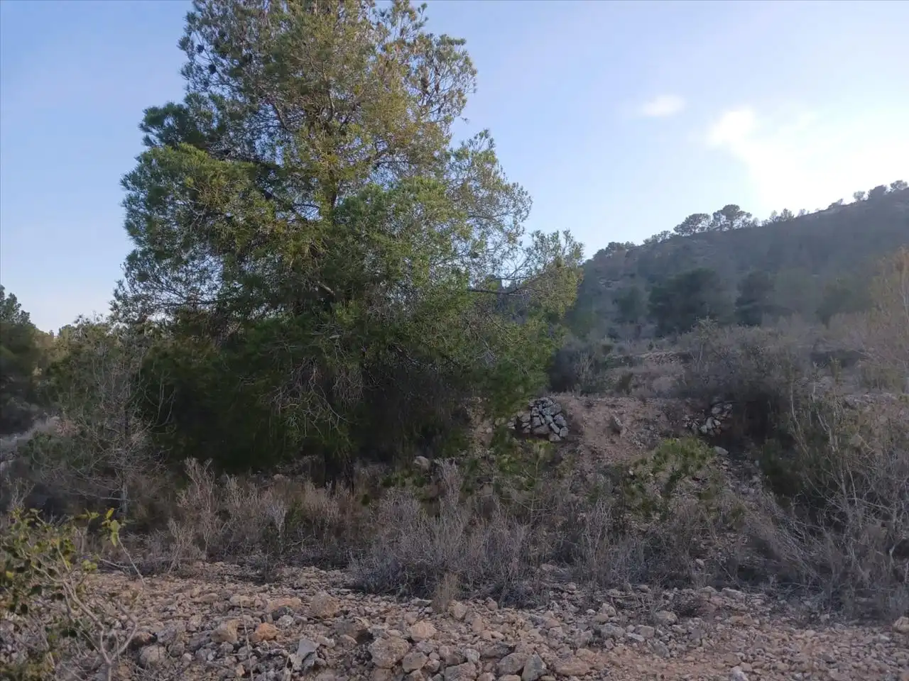 Residential land for sale in Proc. Simplificado, imagen 11