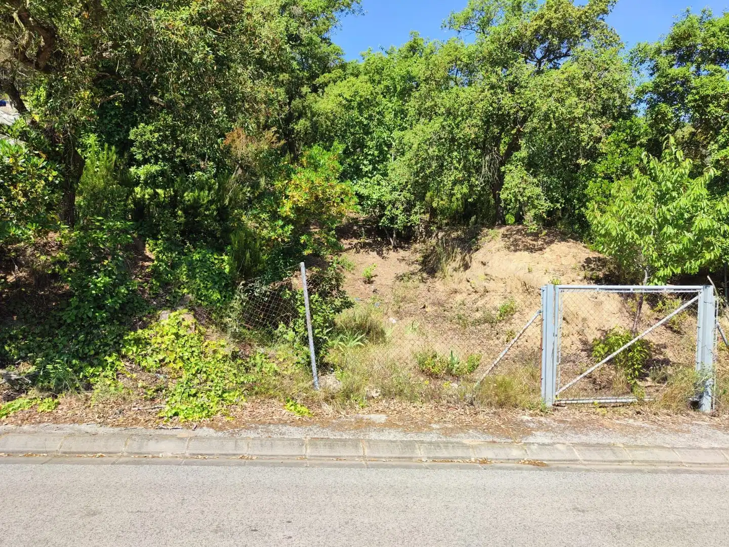 Lands and plots for sale in Llagostera, imagen 16