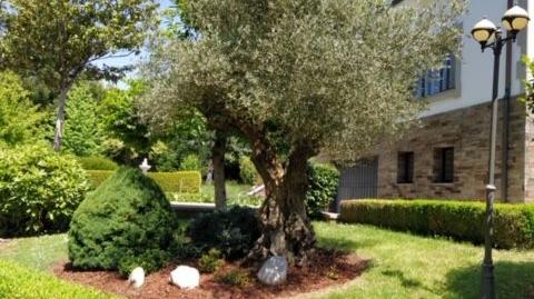 Photo 5 of House or chalet for sale in Rúa Milleiros St,meilán N1, Parroquias del Oeste, Lugo Capital