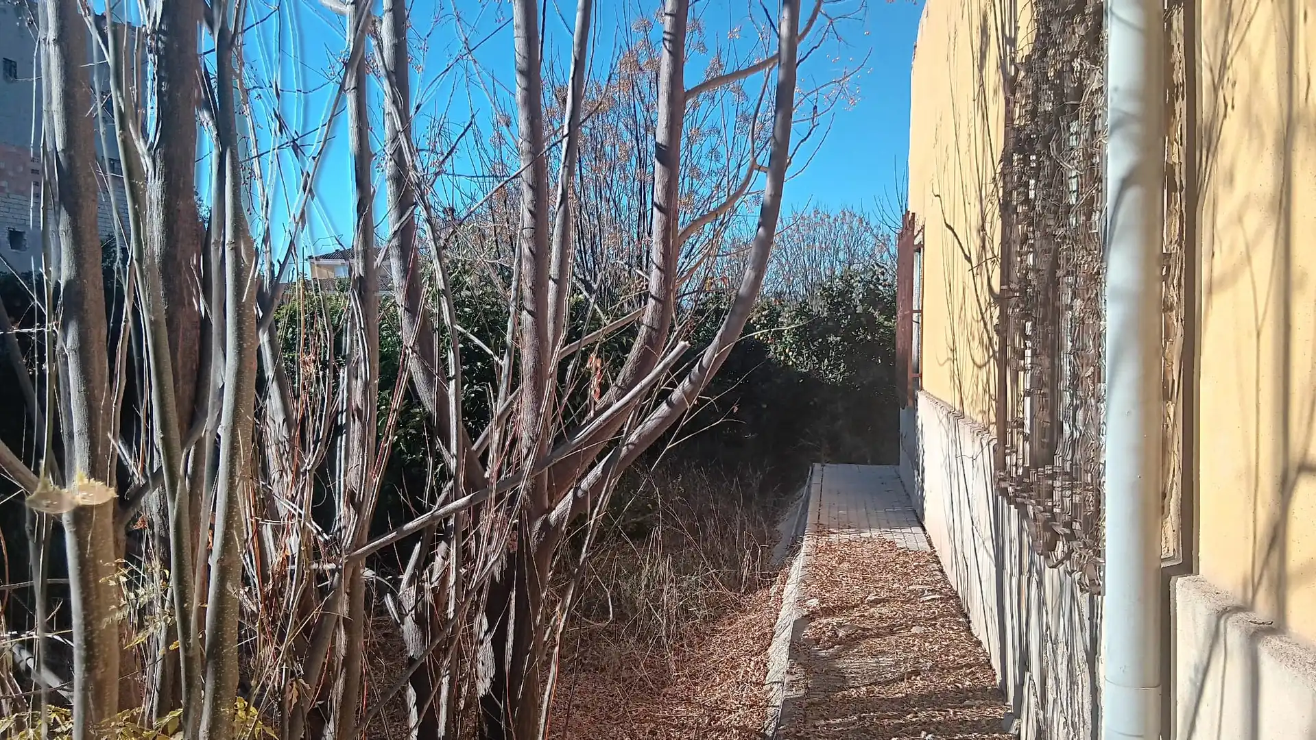 Exterior view of Houses for sale in Murcia  with Private garden, Terrace and Storage room