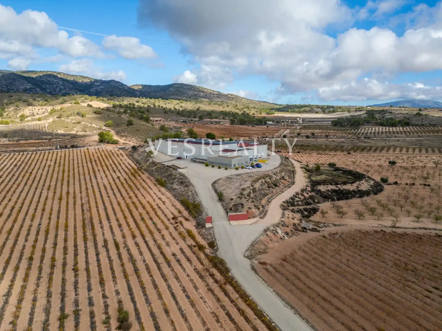 Landhaus zum Verkauf in Carretera Carretera de Jumilla, km 13, imagen 30