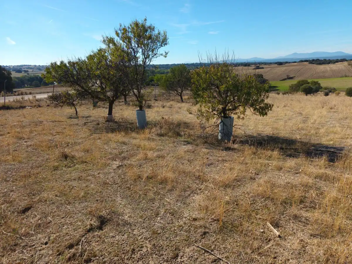 Finca rústica en venta en Brunete